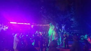 lowry-park-zoo-creatures-of-the-night-dance-party