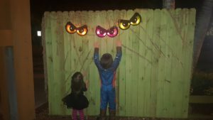 lowry-park-zoo-creatures-of-the-night-eyes-are-watching