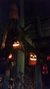 lowry-park-zoo-creatures-of-the-night-pumpkins